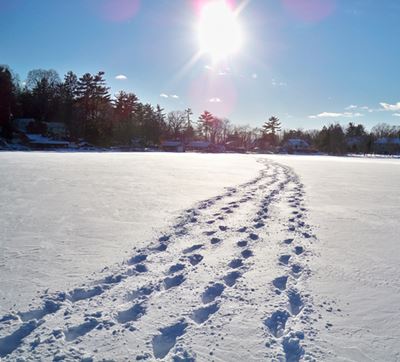 [#mahpisland nakie pic]